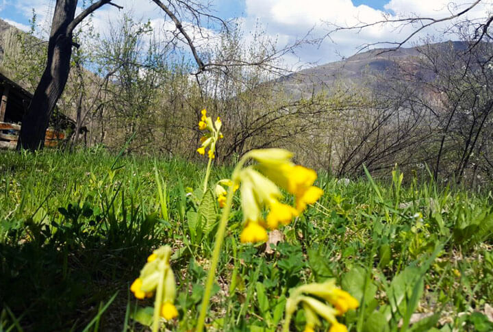 Erzurumda Baharın Tadını Çıkarmanın 10 Muhteşem Yolu!