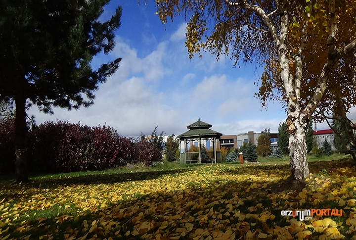 Erzurum Ata Park Botanik Bahçesinde Sonbahar