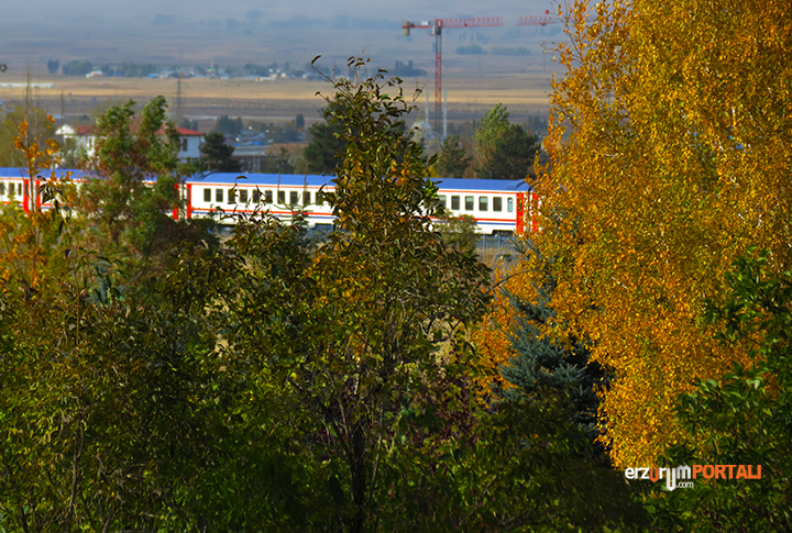 Erzurum Ata Park Botanik Bahçesinde Sonbahar