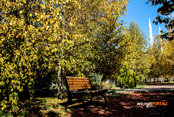 Erzurum ATA Botanik Ekim 2018 