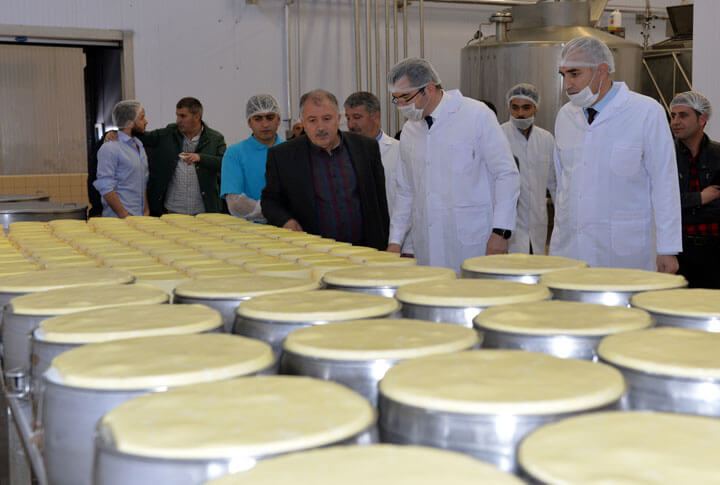 Erzurum İli Süt Sektörü Soğuk Zincir Süt Kurulumu