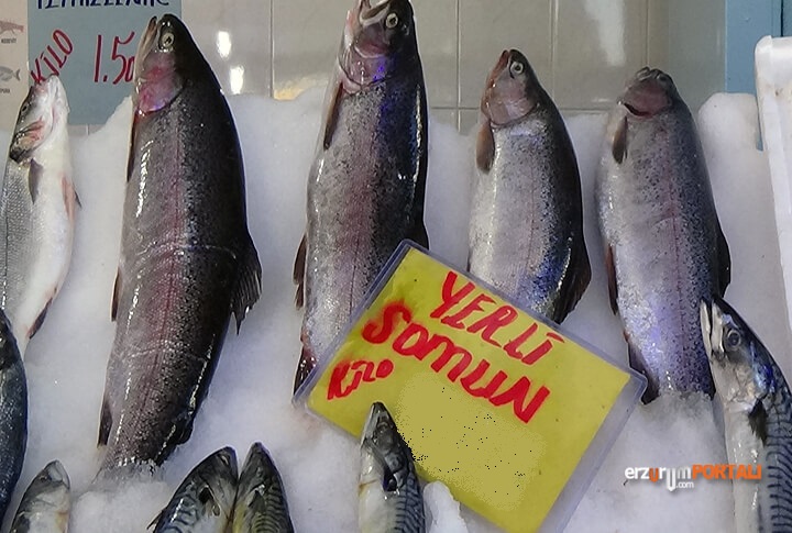 Erzurum'da Balık Sezonu Açıldı