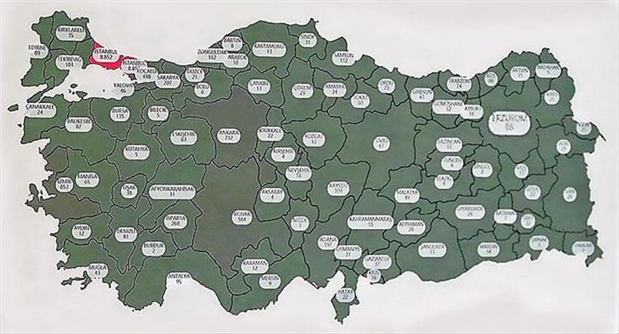 Erzurum Koronavirüs İstatistikleri
