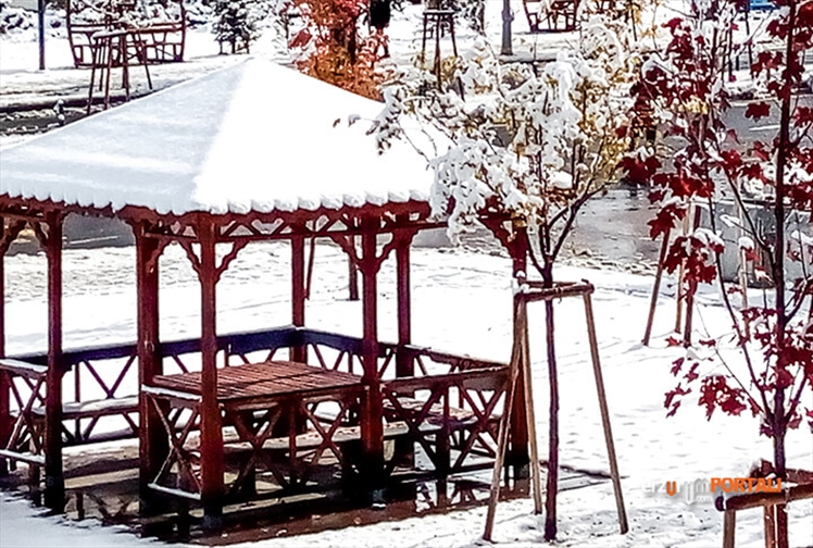 Erzurum'a Mevsimin İlk Kar'ı Yağdı!