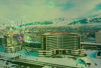 Erzurum Son Vaka Sayıları!
