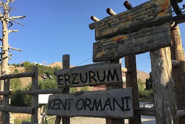 Erzurum'da Sevdiklerinizle Harika Piknik ve Mesire Alanları Keşfedin!