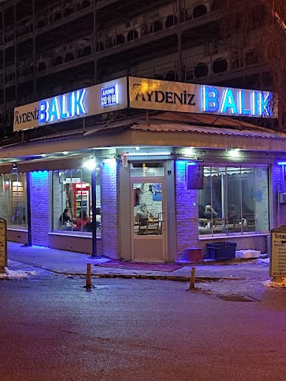 aydeniz akçaabat köfte ve balık evi