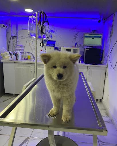 CADDE Veteriner Kliniği- ERZURUM