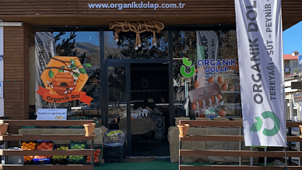 Organik Dolap