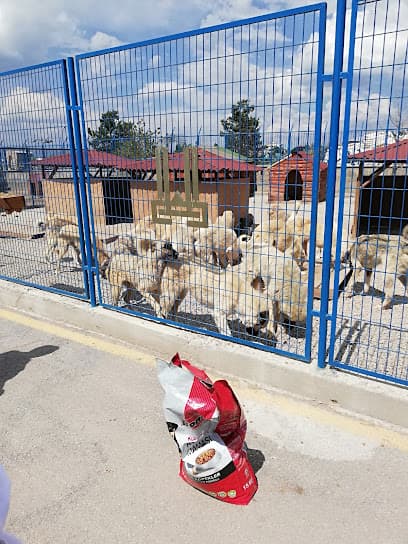 Erzurum Hayvan Barınağı