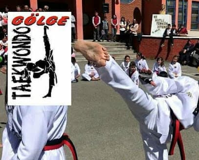 GÖLGE SPOR KLB KİCKBOKS E SPOR TAEKWONDO HAPKIDO CİMNASTİK
