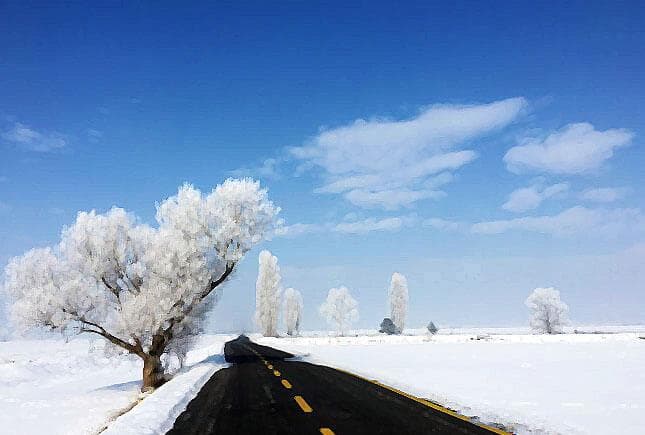 Erzurum'da Kış ve Mükemmel Kareler