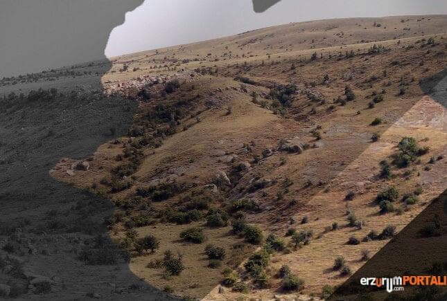 Doğal Bitki Örtüsü
