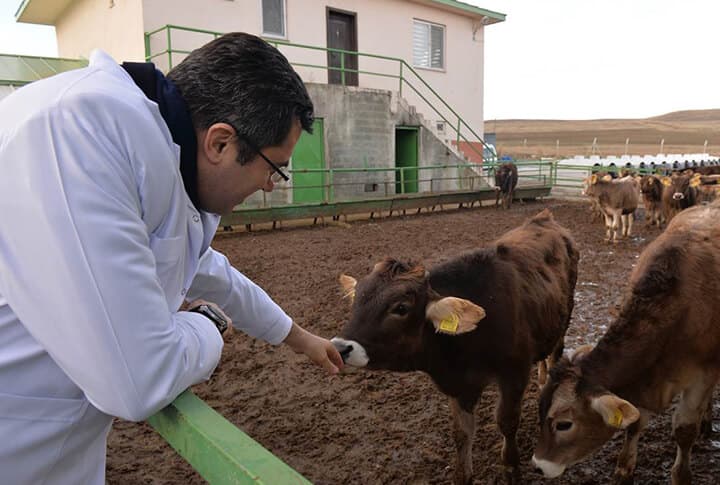 Erzurum Valisi, 'Masa Başında Sorunlar Çözülmez' Deyip, Sahaya İndi!