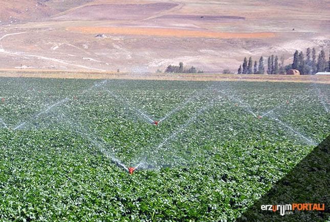 Basınçlı Sulama Yatırımları Destekleme Kapsamına Alındı