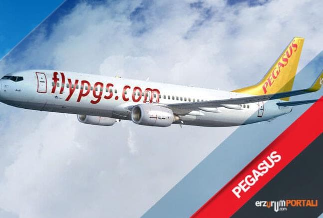 Pegasus Airlines