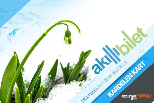 Kardelen Kart ve Dolum Merkezleri