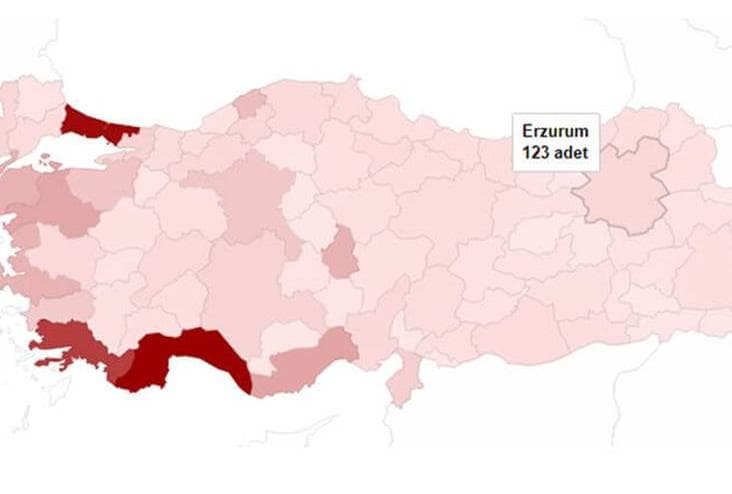 Erzurum 123 Adet turizm Tesisiyle 14. Sırada Yer Alıyor
