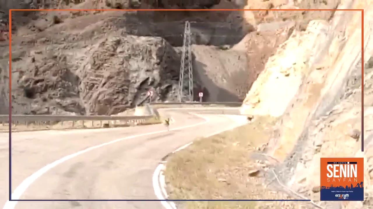İspir ve Dağ Keçileri