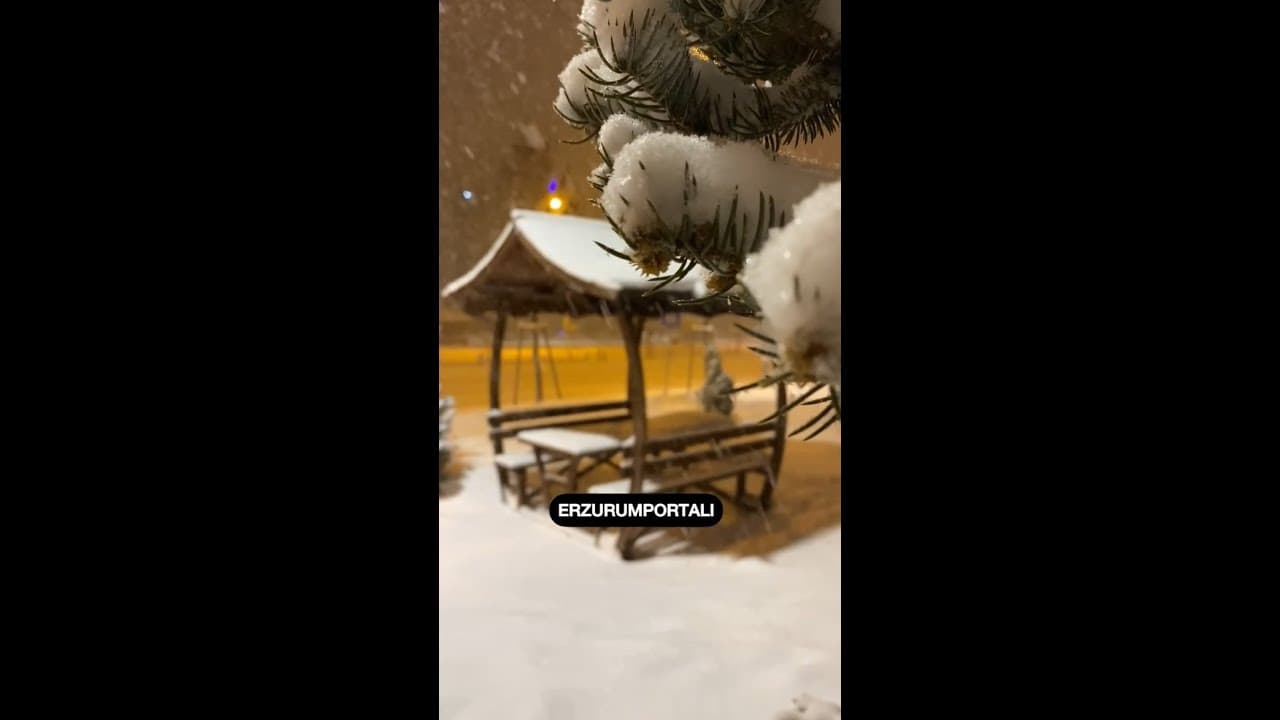 Erzurum ve Kar ❄️☃️
