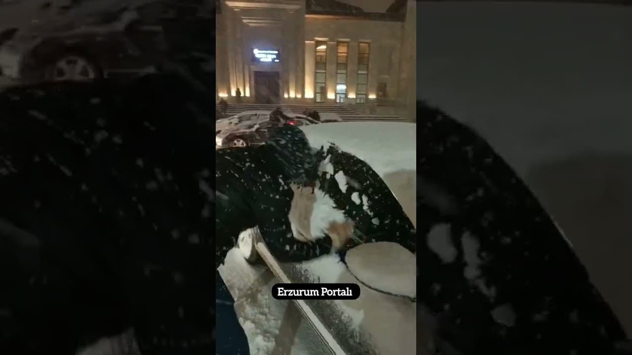 Erzurum 'a Kış Erken Geldi🌨️🥶