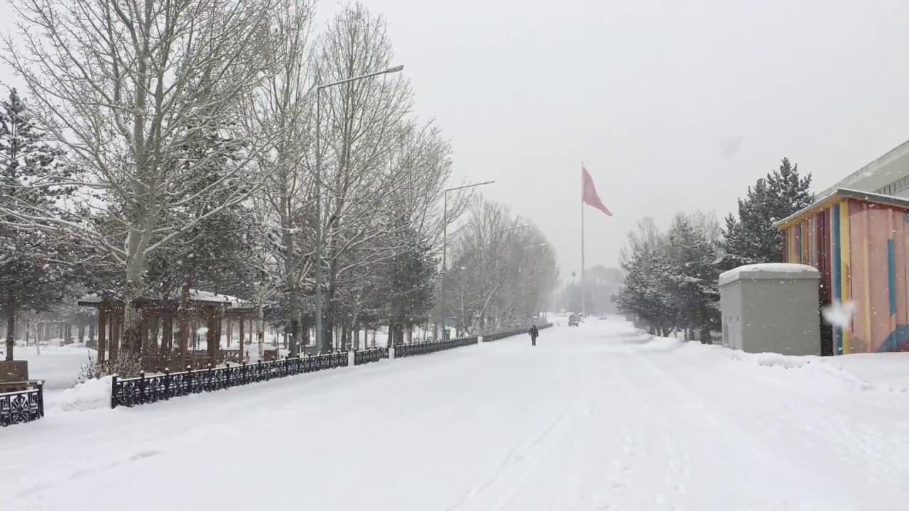 Erzurum'da Kar Yağışı