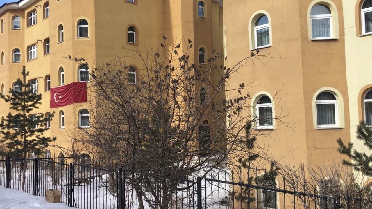 Erzurum Alyanak Siteleri ve Kuş Cıvıltıları