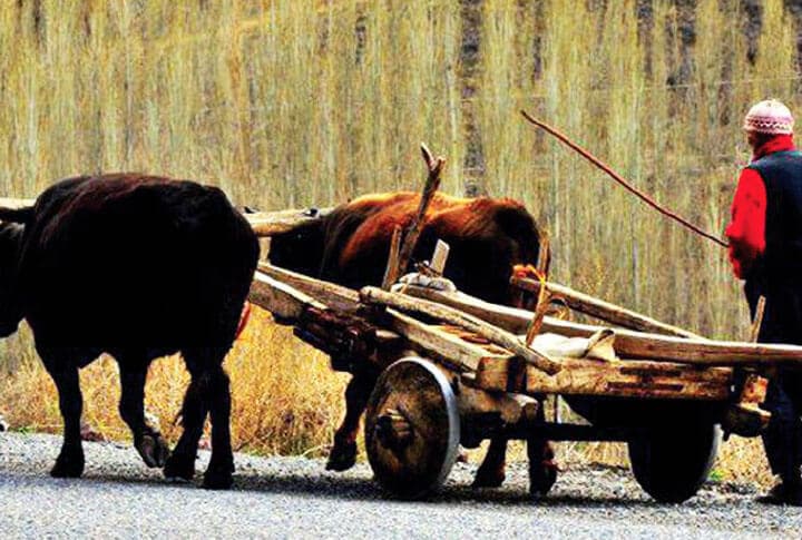 Meşhur Ketencizade'nin Güz Destanı İle Erzurum'da Kış Hazırlıkları!