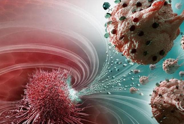 Alzheimer Hastalığının En Riskli İllerinden Biri Olan Erzurum'da Hastalık Haritaları