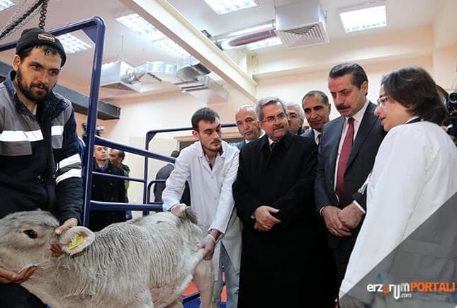 'Erzurum Hayvansal Ürünlerde Üs Olabilir Mi?'