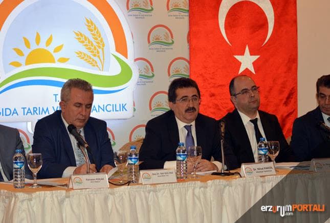 Adım, Adım Şap'da Yeni Döneme