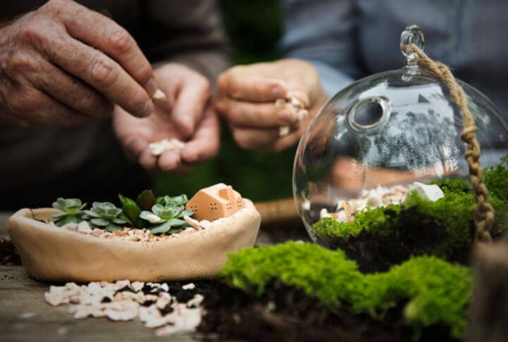 Terrarium Şahinler Fidancılık Ve Peyzaj İle Artık Erzurum'da!