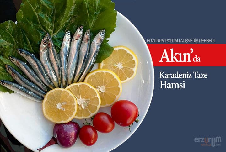 Akın Balıkçılıkta Günlük Karadeniz Taze Hamsi 5 TL
