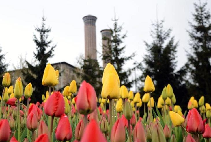 Erzurum Büyükşehir Belediyesi Kendi Fidanını Kendisi Üretiyor!