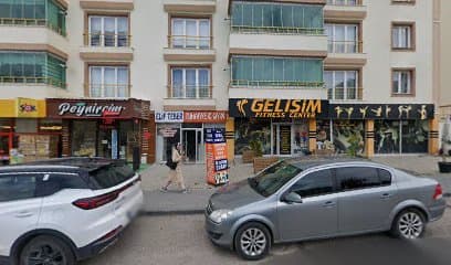 Elif Teber