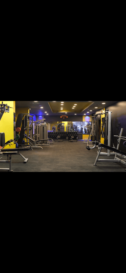 Marvel gym
