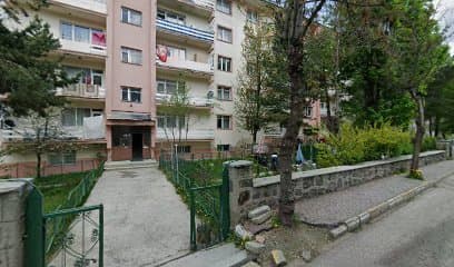 Erzurum Araç Kaplama