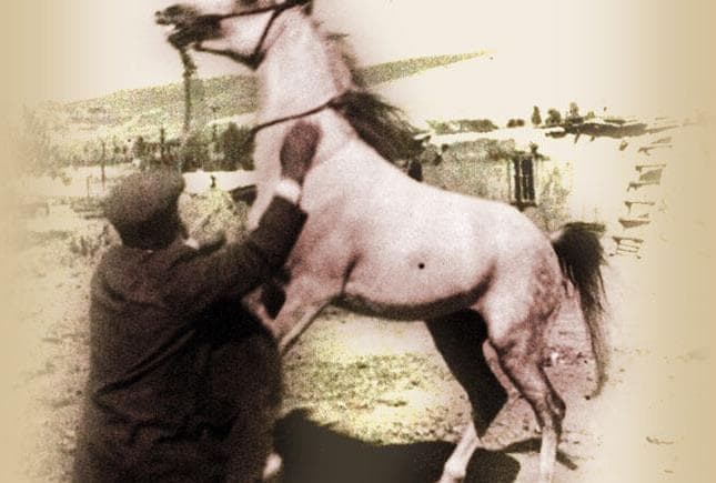 Erzurum'da "Bel'am Bin Bâ'ûr Menkabesi"