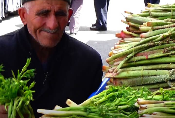 Erzurum Muzu Işgın ve Sağlık Kaynağı Çaşır Zamanı!
