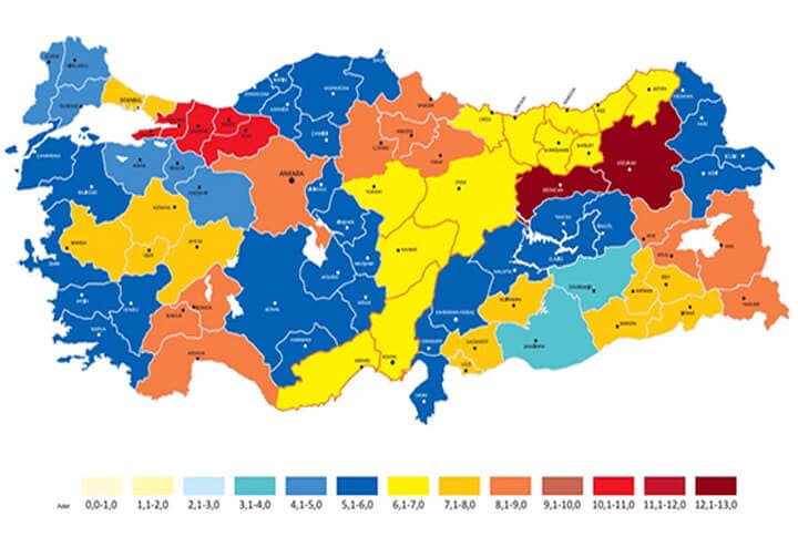 Türkiye'nin En Kültürlü Şehrinin Erzurum Olduğunu Biliyor Musunuz?
