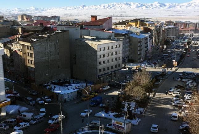 Erzurum'daki Araç Sayısı, LPG, Marka, Renk Oranları