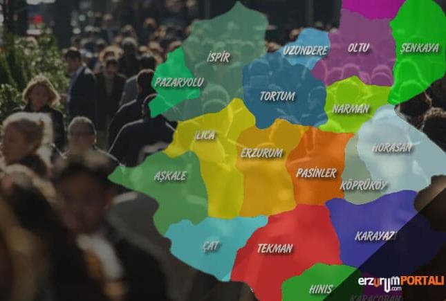 İlçelere Göre Erzurum Nüfusu