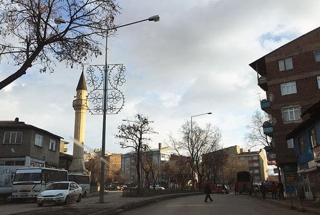 Erzurum Bir Zamanlar Çeşit Çeşit Kuşların Olduğu Bir Göle Sahipti!