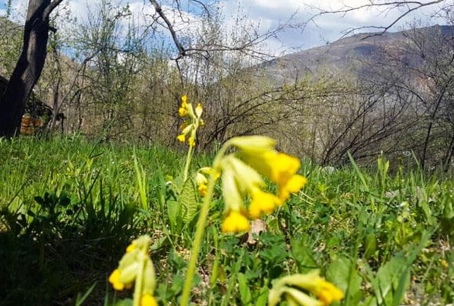 Erzurum'da Baharın Tadını Çıkarmanın 10 Muhteşem Yolu!