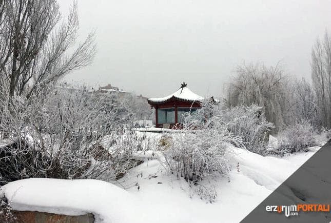 Dünyanın En Yüksek Rakımlı Botanik Kış Bahçesi