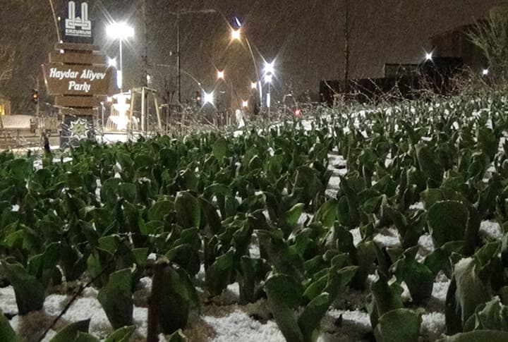 Kar, Erzurum'da 3 Nisan Gecesini Beyaza Bürüdü!