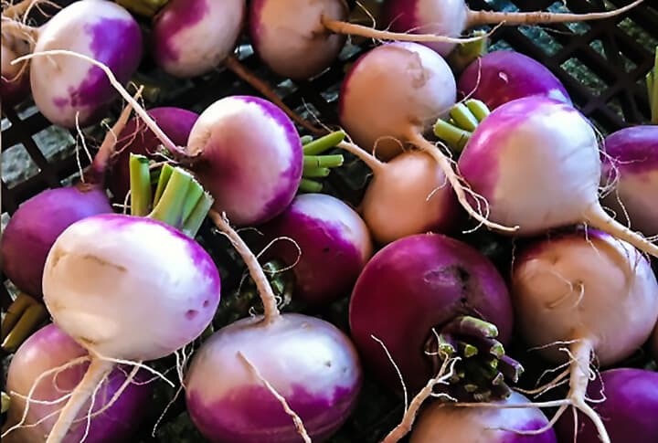 Erzurum'un Üretimi ile Türkiye 2'incisi Olduğu Şalgam'ın Sırları!