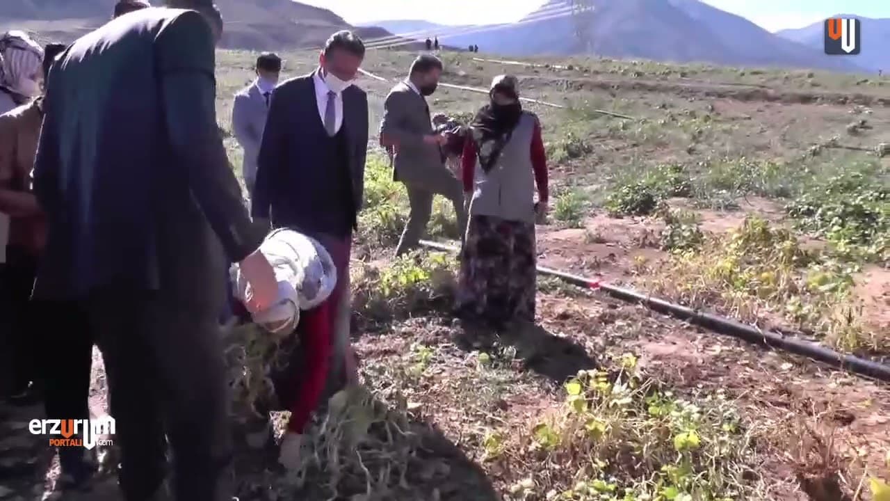 Erzurum Valisi İle İspirli Teyzemizin Diyalogu