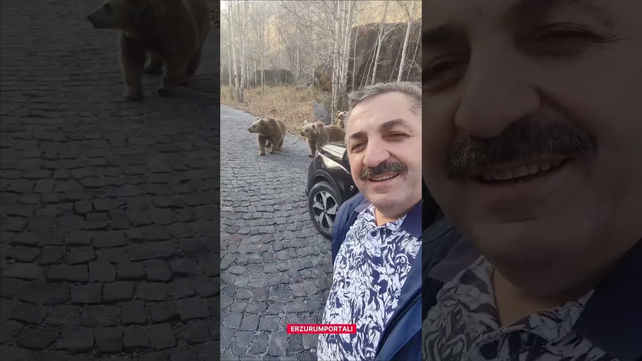 Ayılar Erzurumluların Yolunu Kesti🫣