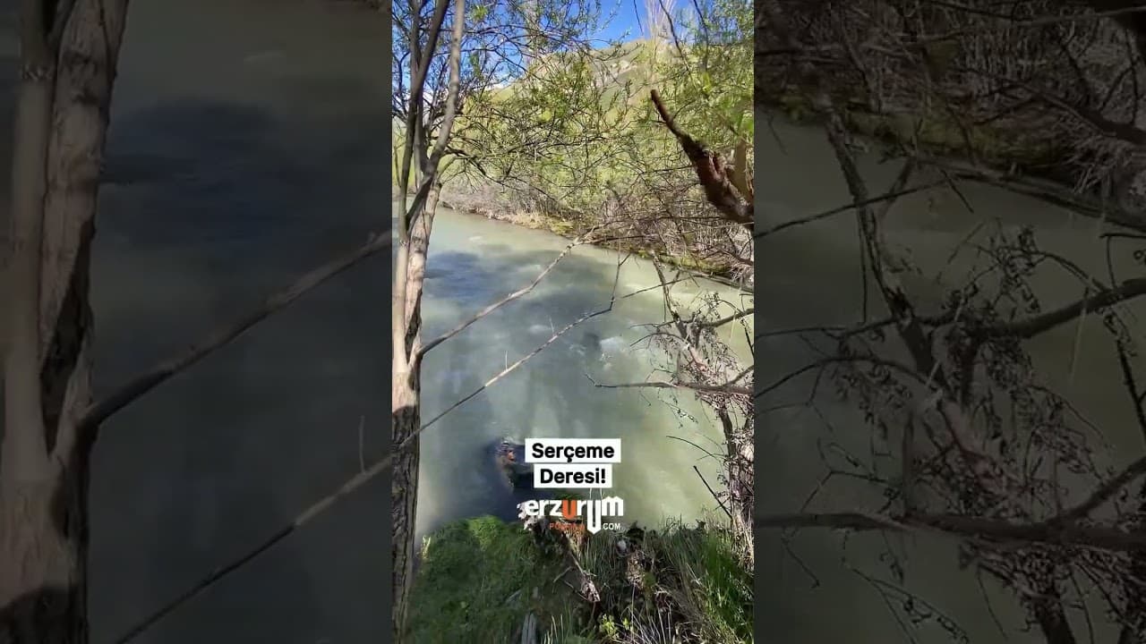 🏔️ Bir tarafta karla kaplı dağlar, bir tarafta çağlayan su…Huzurun adresi Serçeme Deresi!